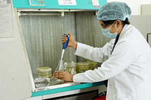 research_cpuh_2